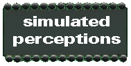 [Simulated Perceptions]